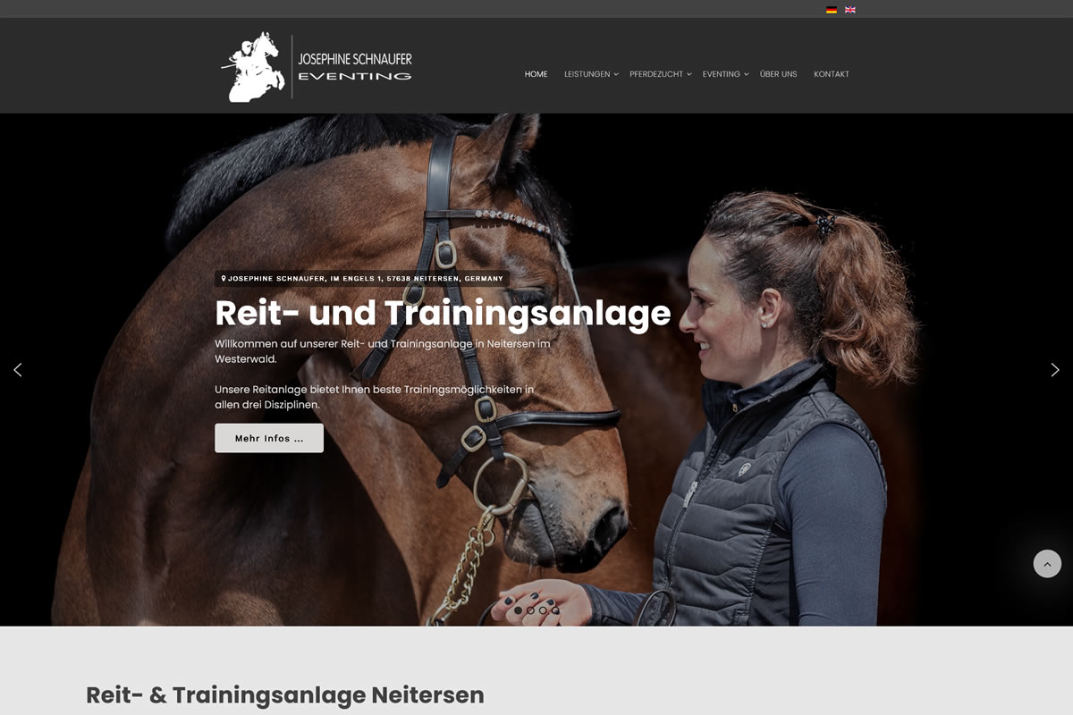 Webdesign: Websites für Pferdebetriebe Webdesign: Website für Pferdebetriebe erstellen
