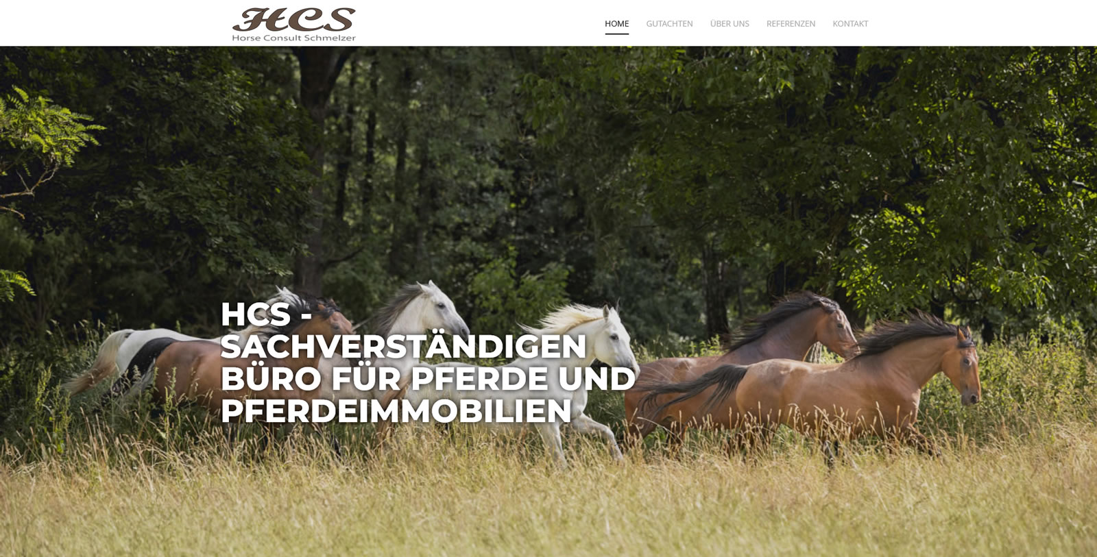 Webdesign Mengerskirchen
